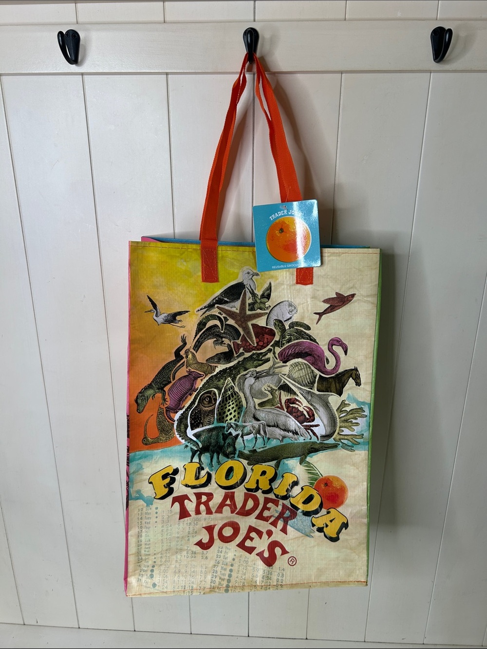 Trader Joe’s Florida Reusable Tote Shopping Bag 6 Gallon - 4 Patterns - NEW